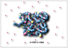 分子間引力で吸着