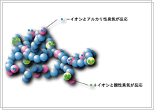 両性イオンと化学的結合