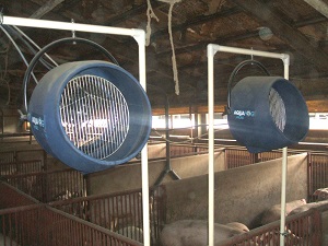 養豚場内の消臭対策事例